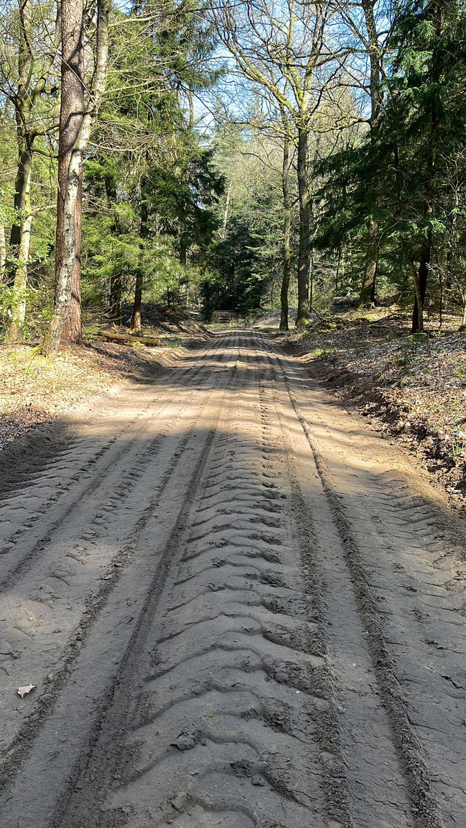 Langs diverse wandelroutes in één van de oudste bossen van Zuidoost Drenthe, de Emmerdennen, zijn we voor <a href="/staatsbosbeheer/">Staatsbosbeheer</a> volop bezig met herprofileren en schaven van de aanwezige zandwegen om het wandelseizoen vlekkeloos te laten verlopen. #groeningoedehanden