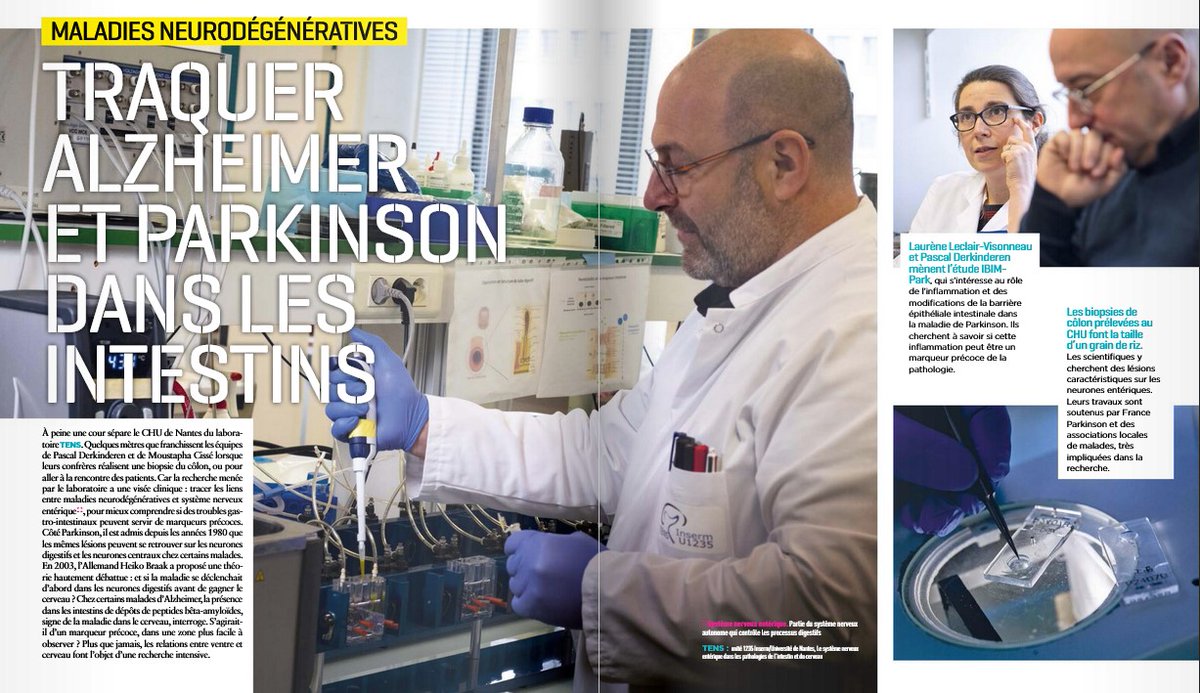 TENS_lab's tweet photo. Notre unité TENS est à l'honneur dans le numéro 56 du magazine de l'Inserm👏👏👏
@IDigestif @NantesUniv @InsermGrdOuest https://t.co/IYltW33Rw3