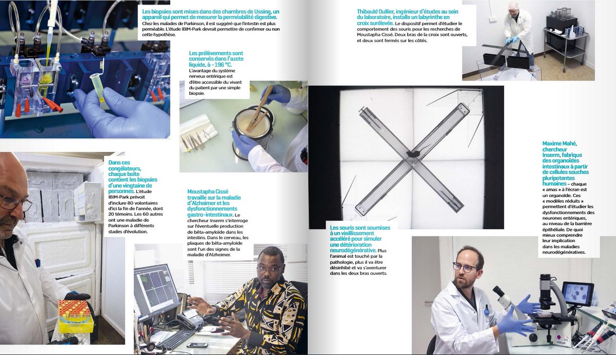 TENS_lab's tweet photo. Notre unité TENS est à l'honneur dans le numéro 56 du magazine de l'Inserm👏👏👏
@IDigestif @NantesUniv @InsermGrdOuest https://t.co/IYltW33Rw3