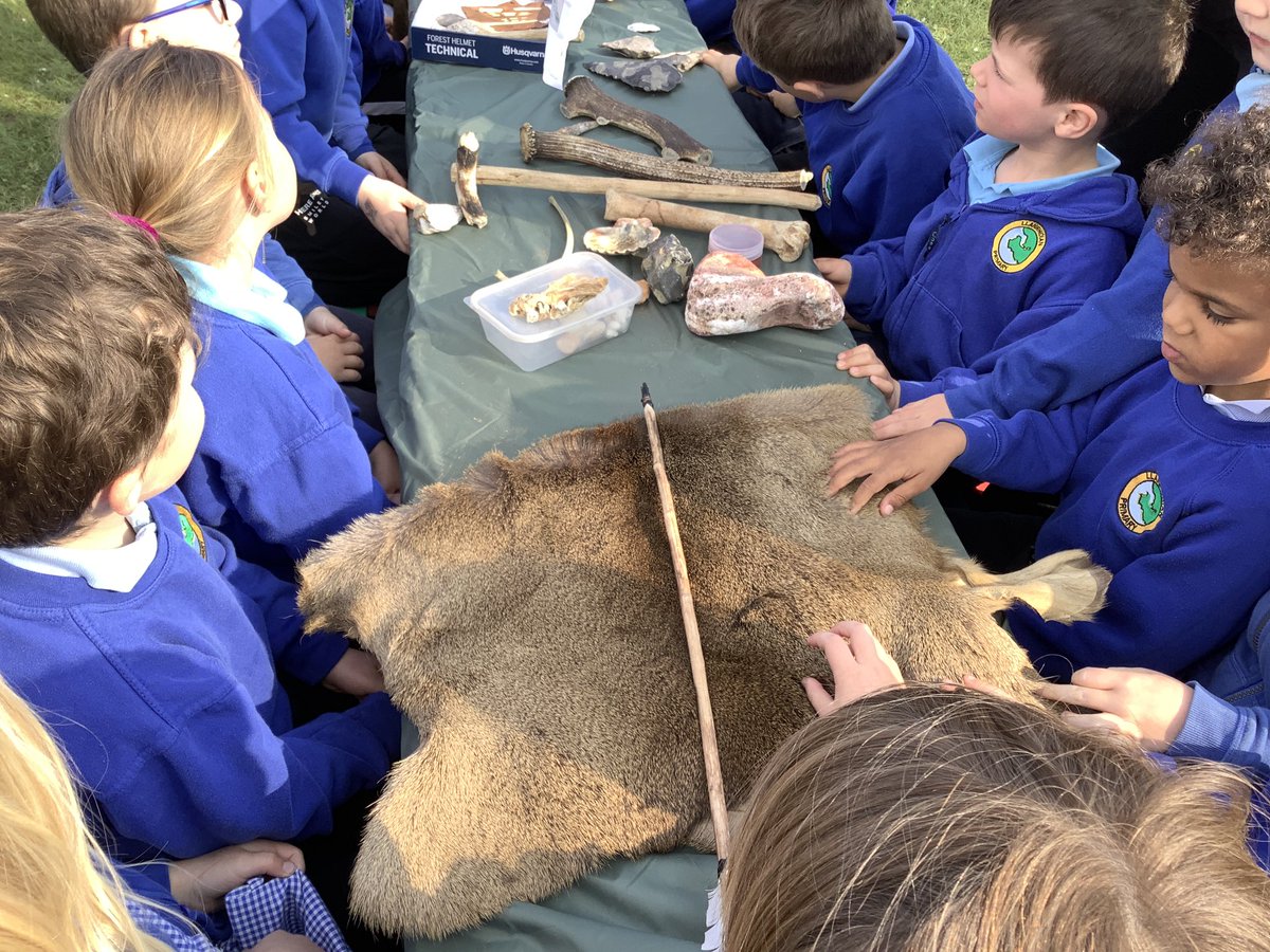 llanrhidianp's tweet photo. #LlanPengwin have been learning about our ancestors today with  help from Helen from Gower Unearthed. #LlanHum #LlanComm https://t.co/2Nc0IAXjST