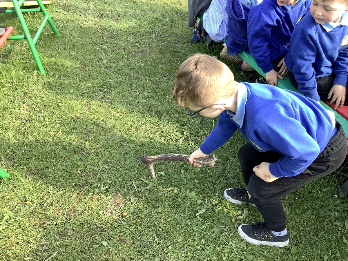 llanrhidianp's tweet photo. #LlanPengwin have been learning about our ancestors today with  help from Helen from Gower Unearthed. #LlanHum #LlanComm https://t.co/2Nc0IAXjST