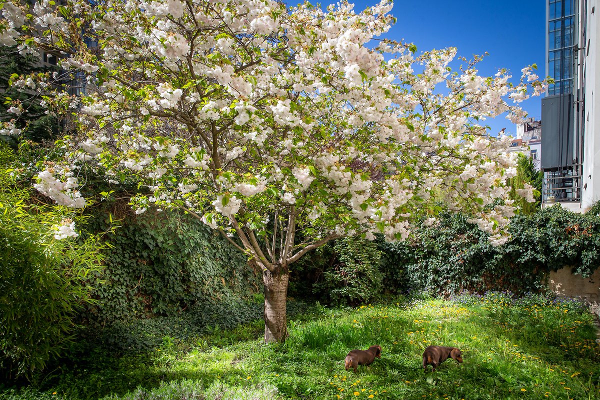 каждый год я жду 8 марта