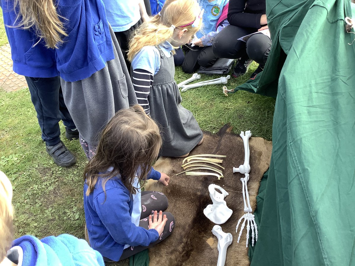llanrhidianp's tweet photo. #LlanPengwin have been learning about our ancestors today with  help from Helen from Gower Unearthed. #LlanHum #LlanComm https://t.co/8XxrBCsmZW