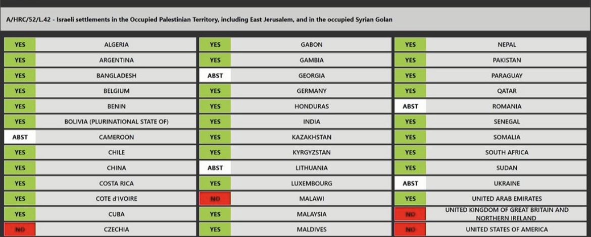 TheJewishWarrior tweet media