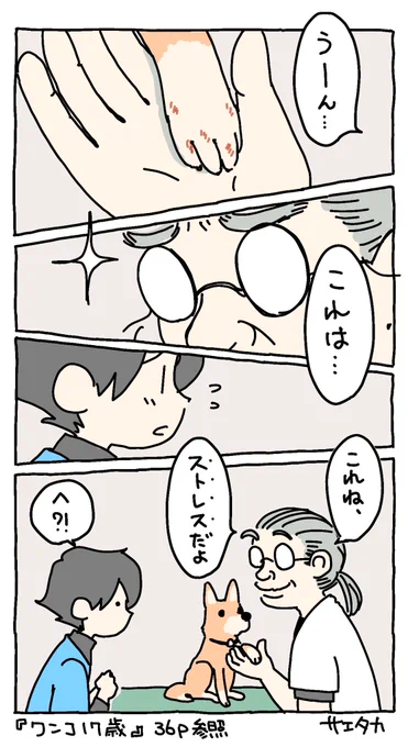 動物病院の先生の思い出①

ワンコにも「ストレス」があることを教えて下さいました。(『ワンコ17歳』36ページ参照) 