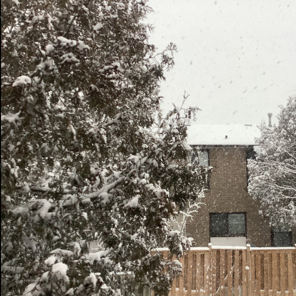 CoolXGaming1's tweet photo. #globalfreezing https://t.co/36Q46j1VeZ