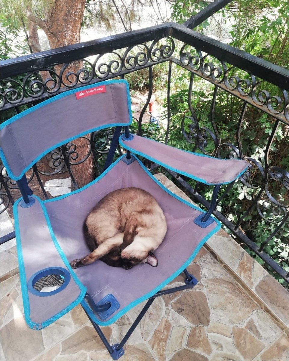 candanschabio's tweet photo. Öyle bir fiyonk olmuş ki, kendini çözmesi zaman aldı (!)

Siz siz olun, işi basit tutun :) https://t.co/b0huadtRF5
