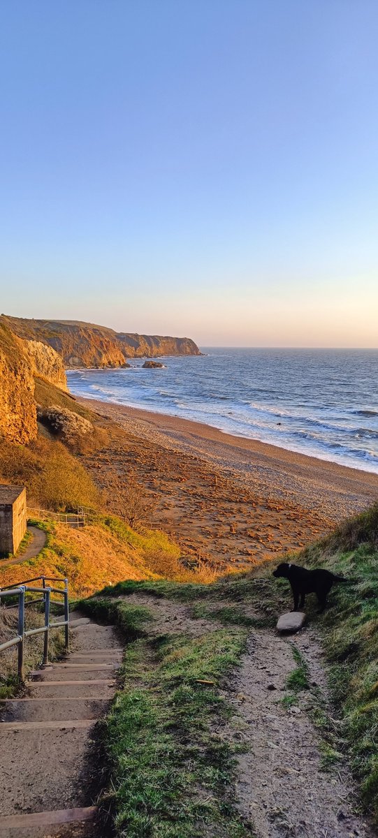 ArgusCIC's tweet photo. Are you taking advantage of the beautiful coastline on our doorstep? East Durham has some AMAZING coastal footpaths with convenient carparks so you can enjoy the view even if getting out of the car is not for you! #BTS #bythesea #eastdurham #durhamcoast #mentalhealth https://t.co/ojY0m5EMeu
