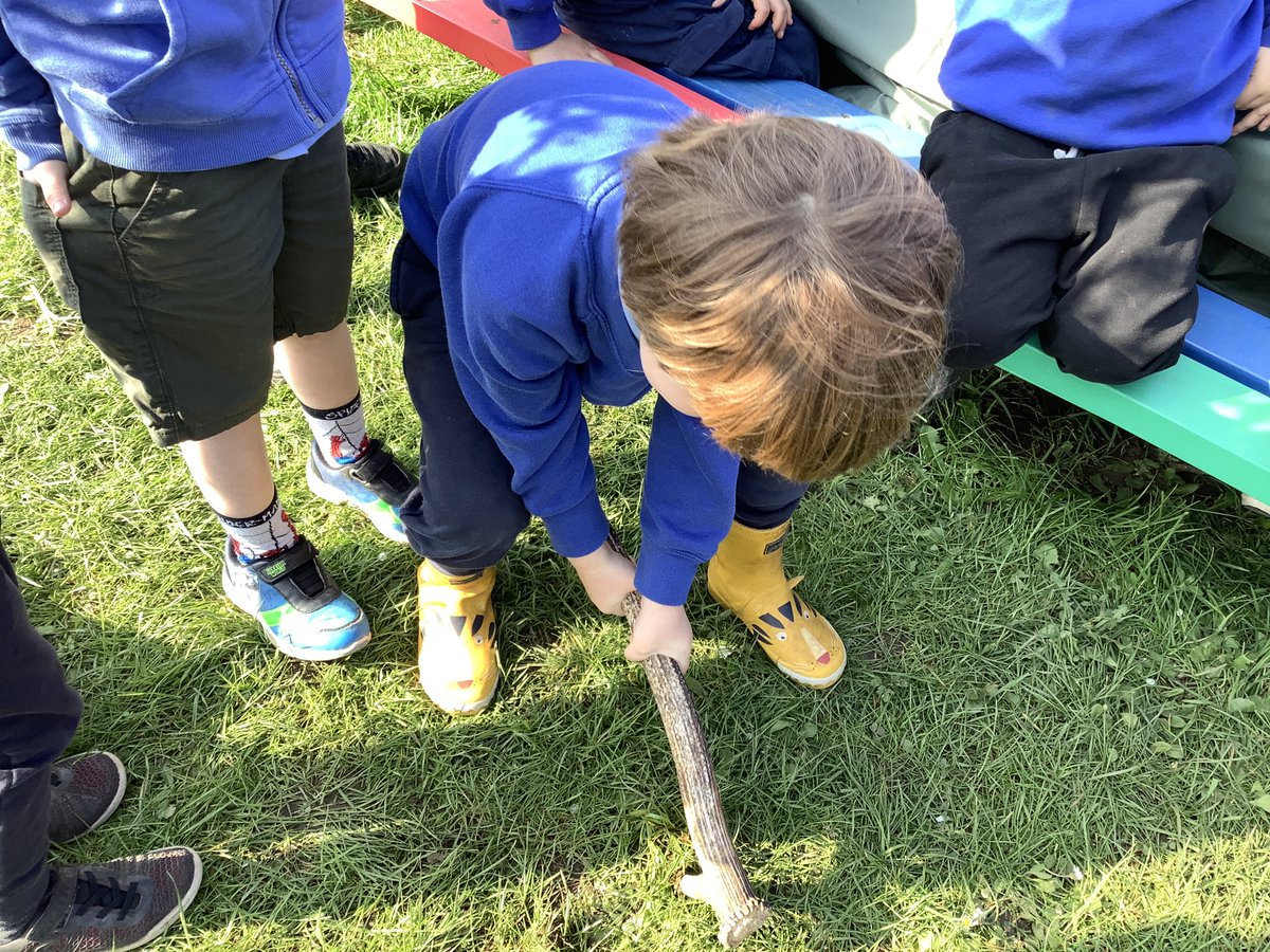 llanrhidianp's tweet photo. #LlanPengwin have been learning about our ancestors today with  help from Helen from Gower Unearthed. #LlanHum #LlanComm. https://t.co/tVkaQuU1ZA