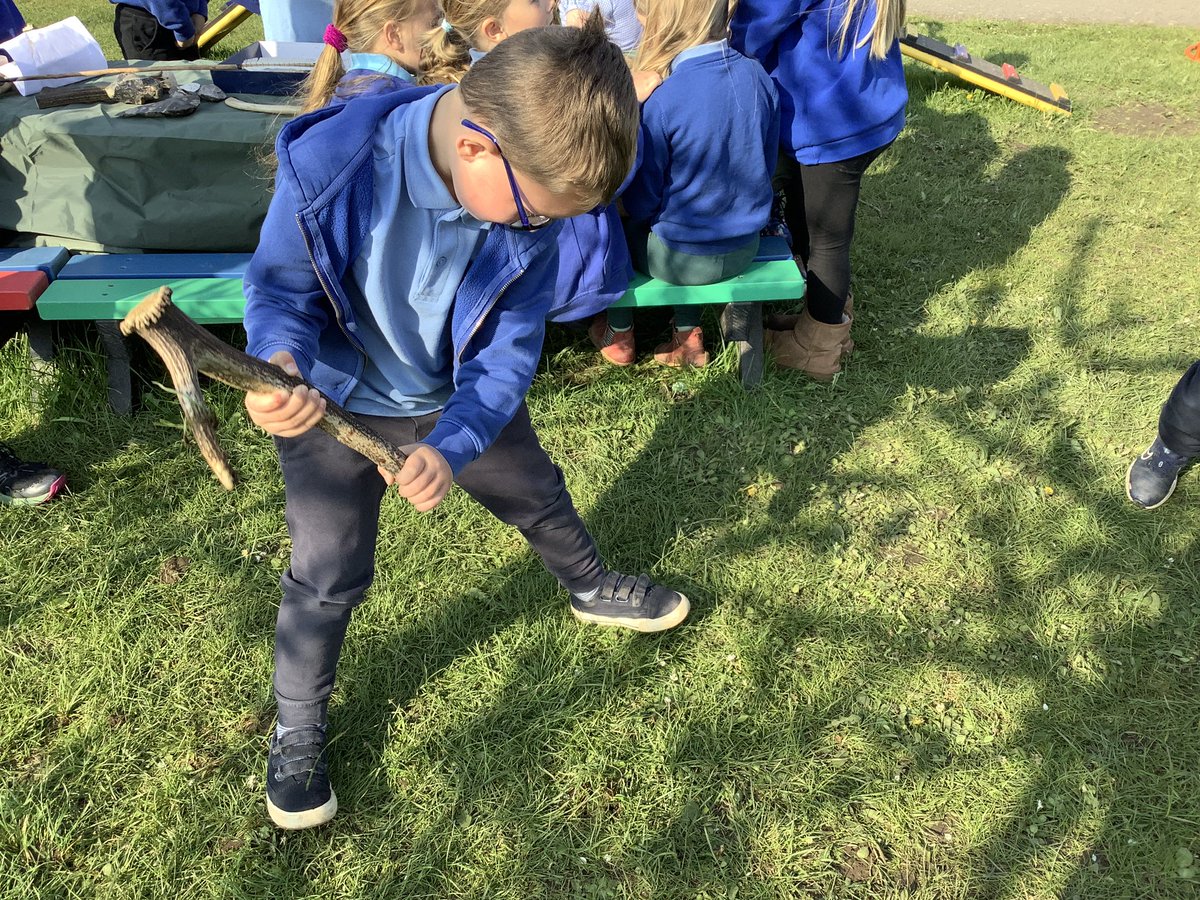 llanrhidianp's tweet photo. #LlanPengwin have been learning about our ancestors today with  help from Helen from Gower Unearthed. #LlanHum #LlanComm. https://t.co/tVkaQuU1ZA