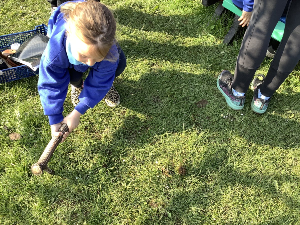 llanrhidianp's tweet photo. #LlanPengwin have been learning about our ancestors today with  help from Helen from Gower Unearthed. #LlanHum #LlanComm. https://t.co/tVkaQuU1ZA