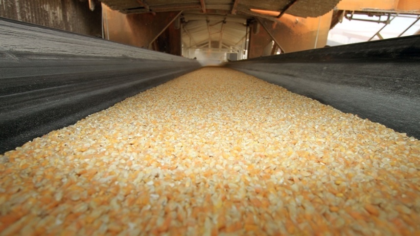 Brasil já escoou 46,67 milhões de toneladas da safra de milho
#destaquenews #rural #agricultura #agroépop

O Brasil já escoou um total de 46,67 milhões de toneladas da safra 21/22 (julho

destaquenews.com/?p=357565