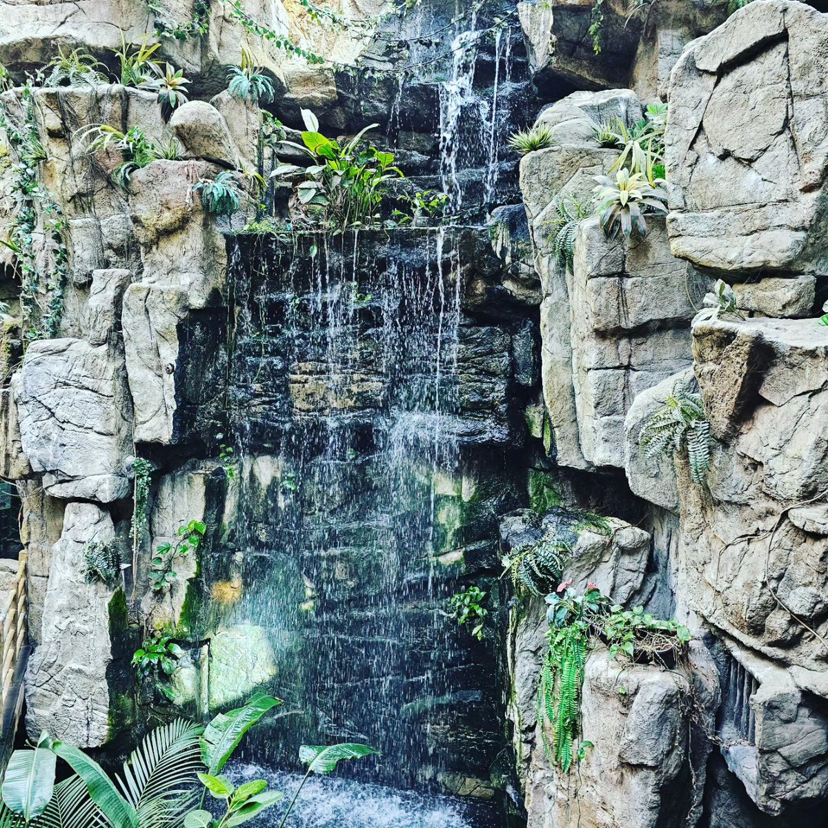 mc_xanthe's tweet photo. It's nice to o'fish'ally meet you! #aquaplanet #aquaplanetilsan #ilsan #fish #aquarium #photography #seoul #korea https://t.co/iOEEFQ6sRW
