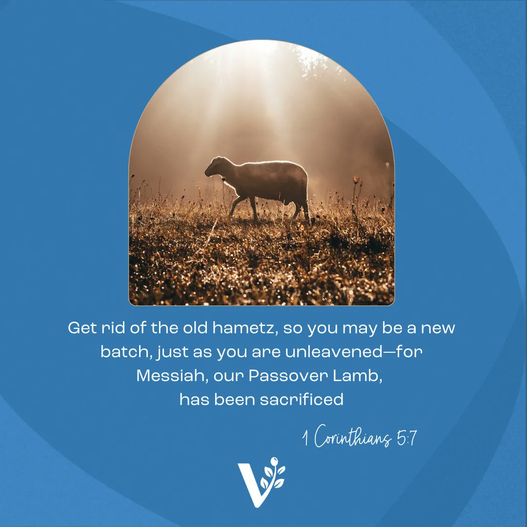 BarrySegalVFI's tweet photo. "Get rid of the old hametz, so you may be a new batch, just as you are unleavened—for Messiah, our Passover Lamb, has been sacrificed." - 1 Corinthians 5:7 #visionforisrael #verseoftheday #scripture #wordofgod #bibleverse https://t.co/oogtMy6FJY