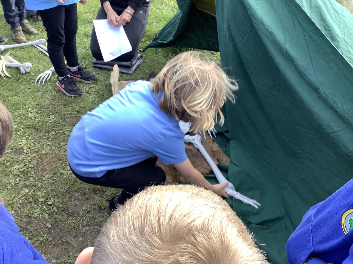 llanrhidianp's tweet photo. #LlanPengwin have been learning about our ancestors today with  help from Helen from Gower Unearthed. #LlanHum #LlanComm https://t.co/LxOb5NEJAw