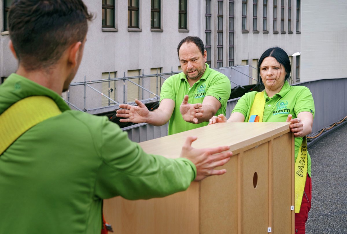 30 % des travailleurs déplacent quotidiennement des #charges lourdes. Soulever, porter, tirer ou pousser des objets lourds peut provoquer des atteintes à la #santé. Nos #conseils pour une bonne technique: suva.ch/fr-ch/preventi…
#suva #sécurité #prévention