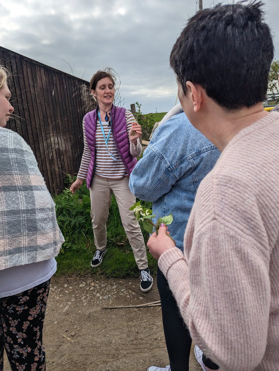 debbie smith tweet media