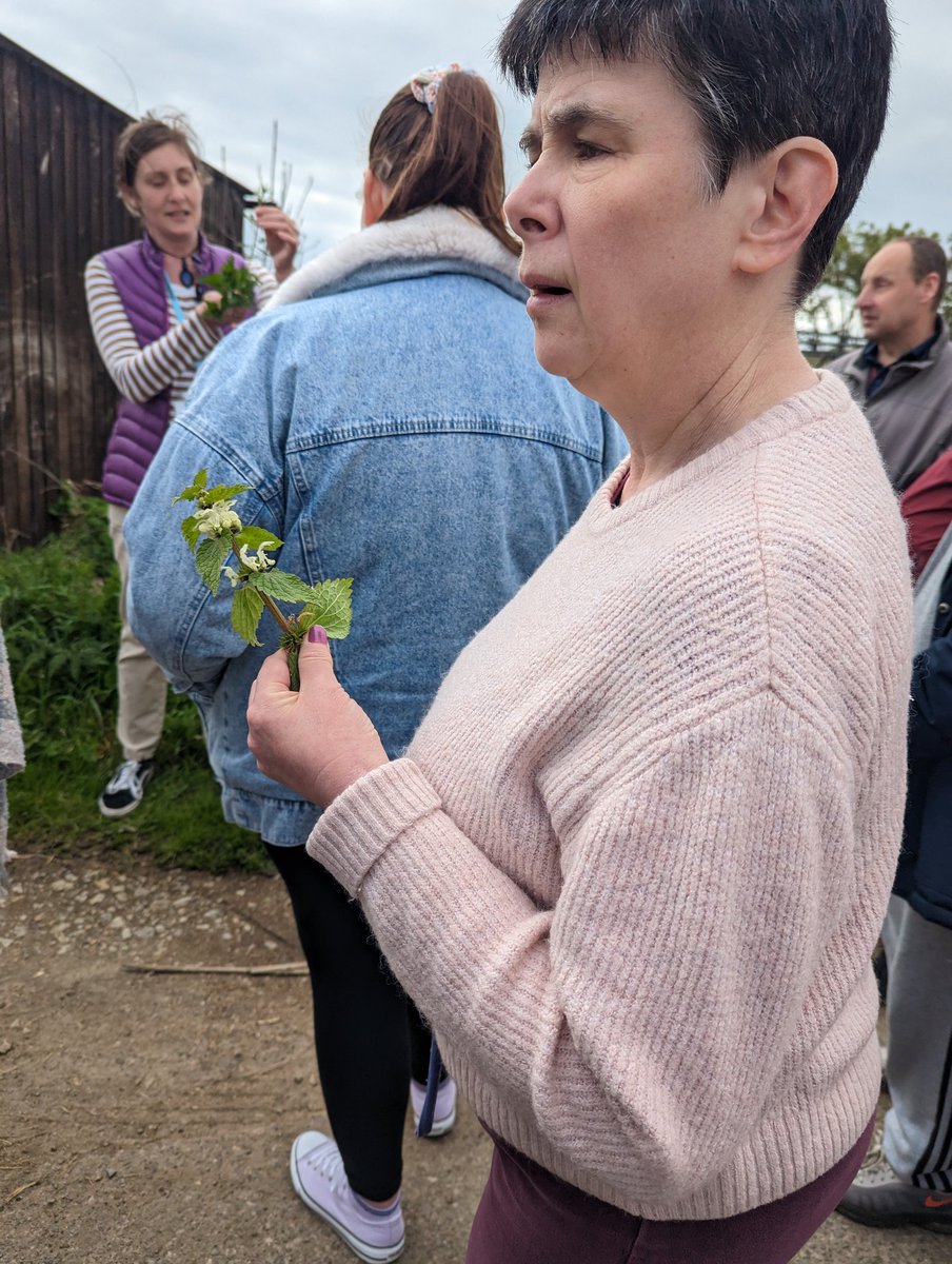 debbie smith tweet media