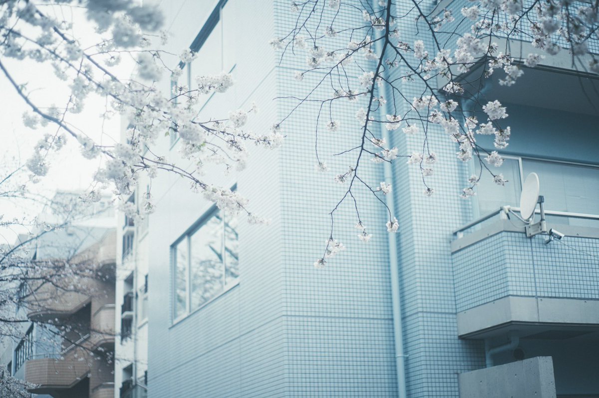 camera93su's tweet photo. 雨模様 https://t.co/RtrrCYcynx