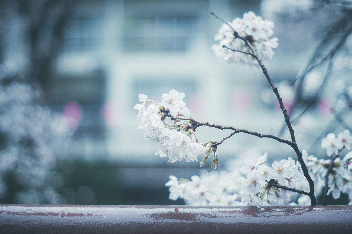 camera93su's tweet photo. 雨模様 https://t.co/RtrrCYcynx