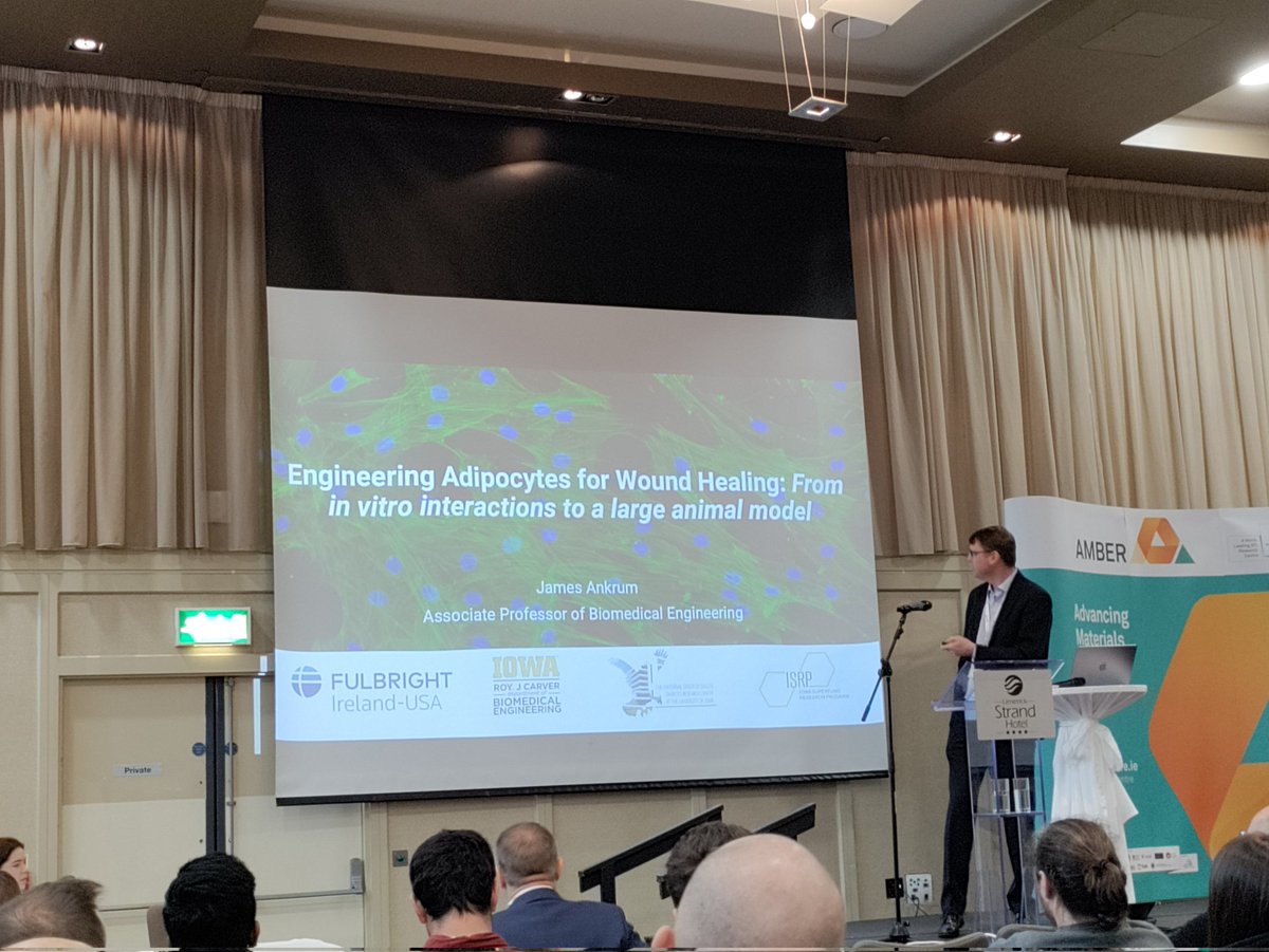 Ian Woods (@iwoodsie) on Twitter photo Great to have our resident <a href="/FulbrightPrgrm/">The Fulbright Program</a> Fellow <a href="/JamesAnkrum/">James Ankrum</a> kicking off the scientific programme at the <a href="/ambercentre/">AMBER</a> conference with his really exciting work, using Fat cells to promote wound healing! Great to have our resident <a href="/FulbrightPrgrm/">The Fulbright Program</a> Fellow <a href="/JamesAnkrum/">James Ankrum</a> kicking off the scientific programme at the <a href="/ambercentre/">AMBER</a> conference with his really exciting work, using Fat cells to promote wound healing!