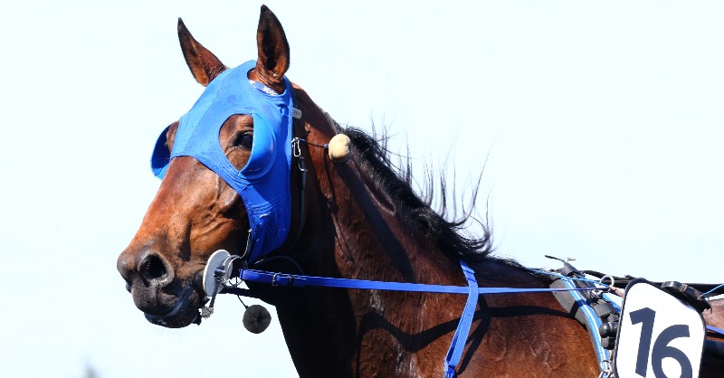 Equidia tweet media