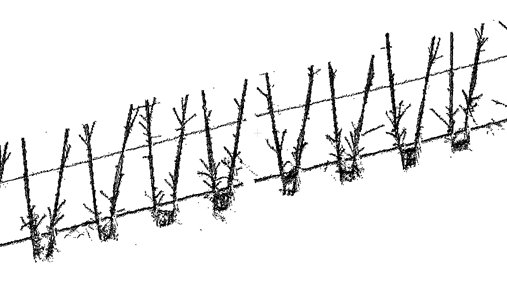 Prec_Hort's tweet photo. ongoing meeting of project #IRRIWELL to discuss physiological models to support irrigation management @PrimaProgram 
We contribute some plant sensor data (LiDAR, leaf turgor, dendrometer data) https://t.co/EU9YrbVjSS
