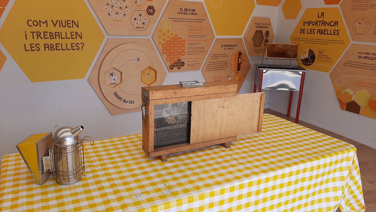 Anthesis_ESP's tweet photo. 🐝Ahir, #AnthesisLavolaEduca va dinamitzar la segona jornada d’intercanvi entre l'alumnat de @EscolaMMP de #Viladecans i el de l'escola rural de Freixenet de #Riner, els quals van realitzar una sèrie de tallers sobre les abelles en el marc del projecte #Redicat. https://t.co/3YA4rwBx6H