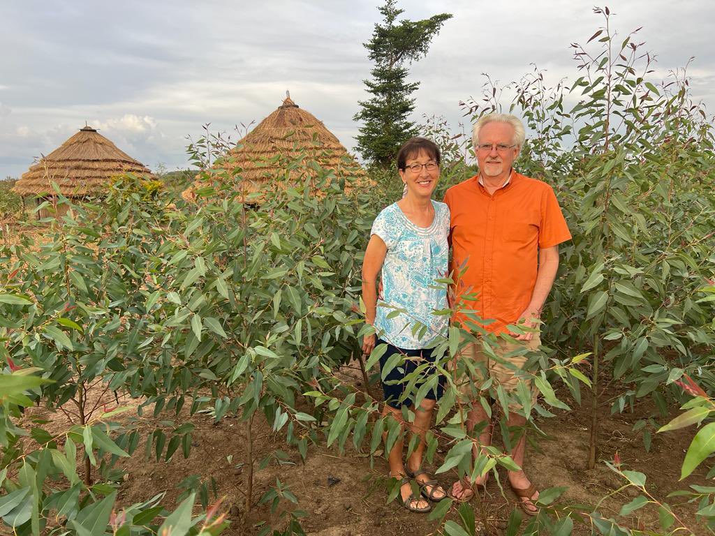We planted this eucalyptus forest four months ago and the trees are already more than head high.