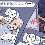 この言葉を3回唱えると熟睡できるらしい？!熊本のある言い伝えを紹介したツイートが話題に!