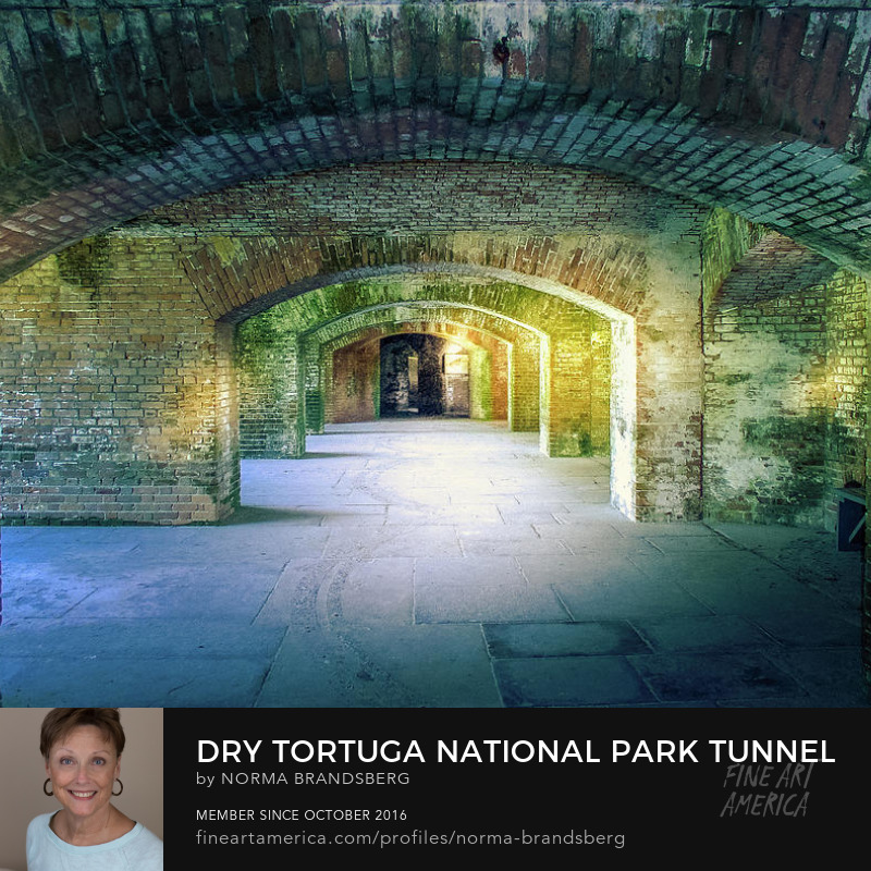 RT @nbrandsberg: DRY TORTUGAS NATIONAL PARK:
fineartamerica.com/featured/dry-t… 

#drytortugas #nationalpark #florida #architecture #tunnel #AYearForArt #artforsale #Travel #art4mom #travelphotography #giftideas  #BuyIntoArt #springforart #art #normabrandsberg #el…