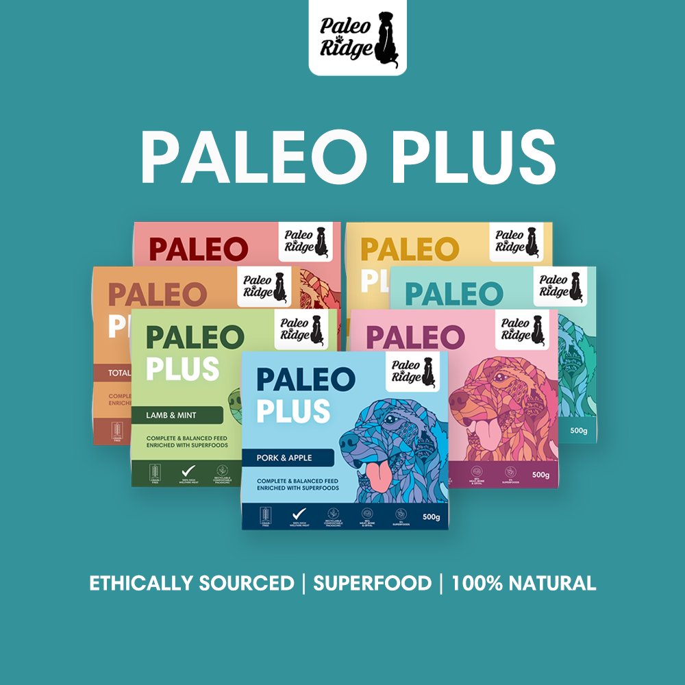 PaleoRidge's tweet photo. Paleo Plus: A range dedicated to providing nutritional excellence โ
They consist of 95% meat, bone and offal and 5% of our Berry Good superfood mix ๐ซ๐ฆด
Checkout our Paleo Plus hamper, which also includes free shipping ๐๐ผ
#feedpaleo #feedraw #rawfeddogs #freetreats #dogfood https://t.co/fSwBK3VvuT