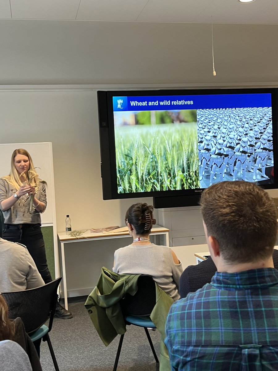 Stella Edwards tweet media