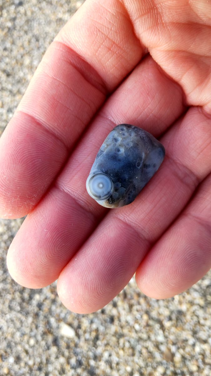 seigo_suzuki's tweet photo. 蛙の目借り時。
#季語 #歳時記 #晩春 #時候 #ビーチコーミング #beachcombing #瑪瑙 #agate #黒瑪瑙 #onyx #天眼石 #eyeagate https://t.co/ufm8oYfiM4