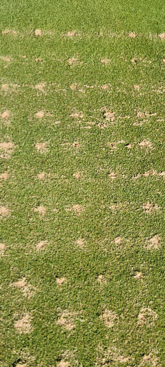 Scott Countryman tweet media