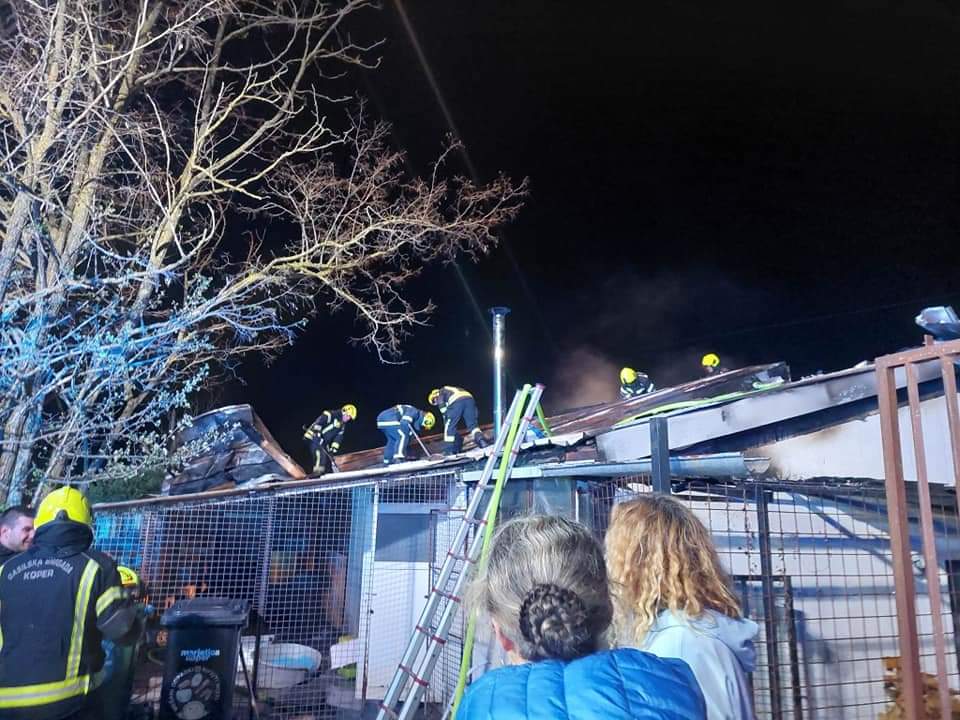 _MegWhite_'s tweet photo. Naše lokalno mačje zavetišče je čez noč doletela katastrofa 😭. Te ženske, ki s predanostjo in ljubeznijo opravljajo delo, ki bi ga morala opravljati država ali občina, si tega res niso zaslužile. Še manj pa mucke. Če lahko pomagate, pošljite sms MUCKE5 na 1919. 🙏 https://t.co/xeXLyASAGd