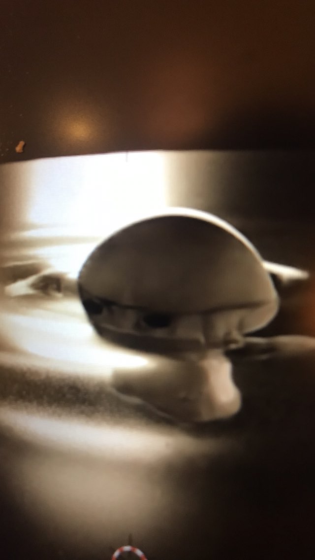 Good morning from Spain!!