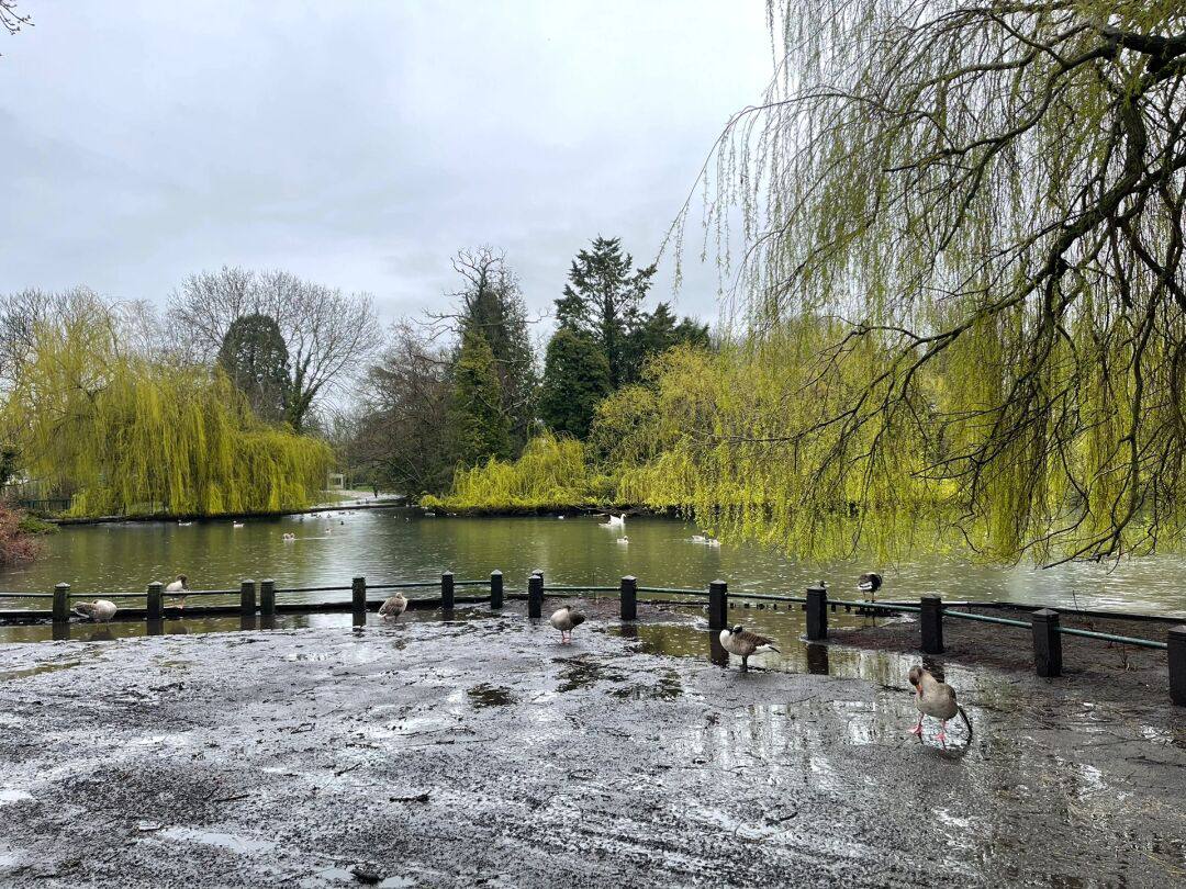 Nice three (@nicethree341523) on Twitter photo 