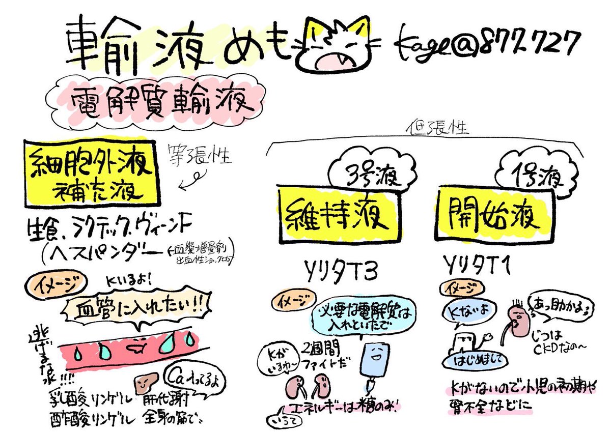 【輸液めも(とてもざっくり電解質輸液)】
輸液剤のうち電解質輸液剤
・等張性の細胞外液補充液の生理食塩液、酢酸リンゲル液(ヴィーンF)、乳酸リンゲル液(ラクテック注)
・低張性の1〜4号液
・高張性(電解質補正用のやつたち)
病棟では輸液のことをメイン、そのほかの抗生剤とかを側管と呼んでいたり🐱