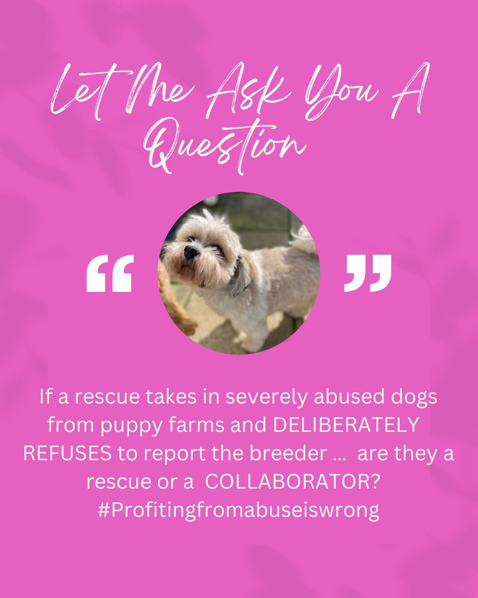 AnimalWarriorsGlobal on Twitter: