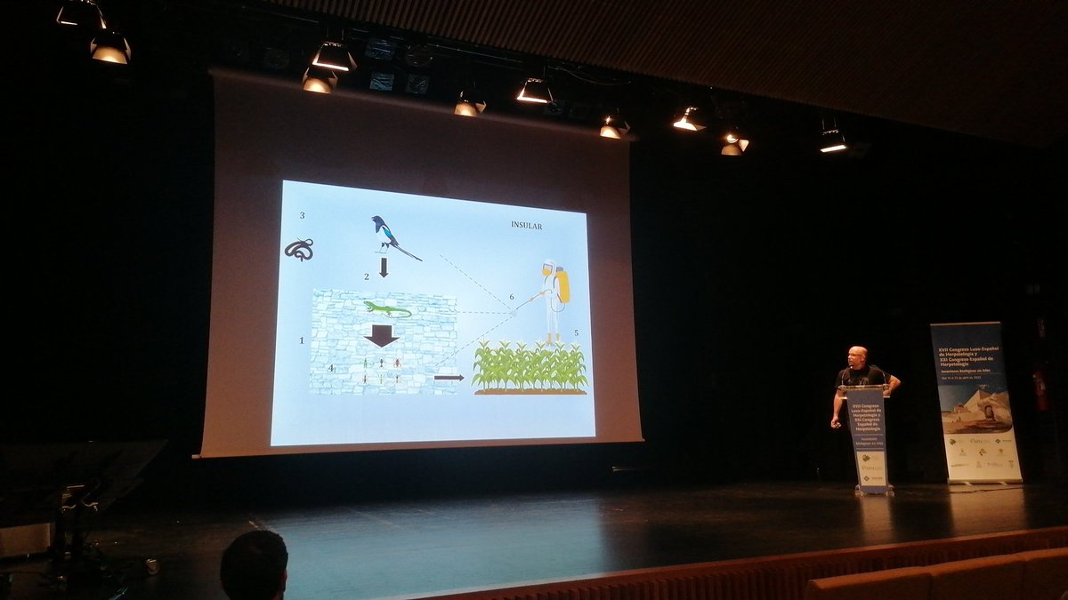Miguel A. Carretero @FunctionalBiod1 presenting #AGROLIZARDS+ project Towards an understanding of the role of lizards in agroenvironments to preserve their ecosystem services #HerpetologiaIbiza2023 #herpetology #biologicalinvasions #islands