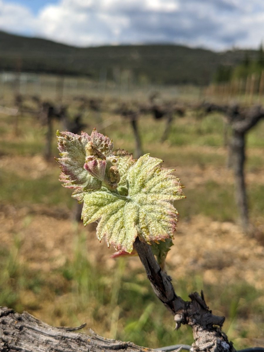 Terre des 2 Sources tweet media