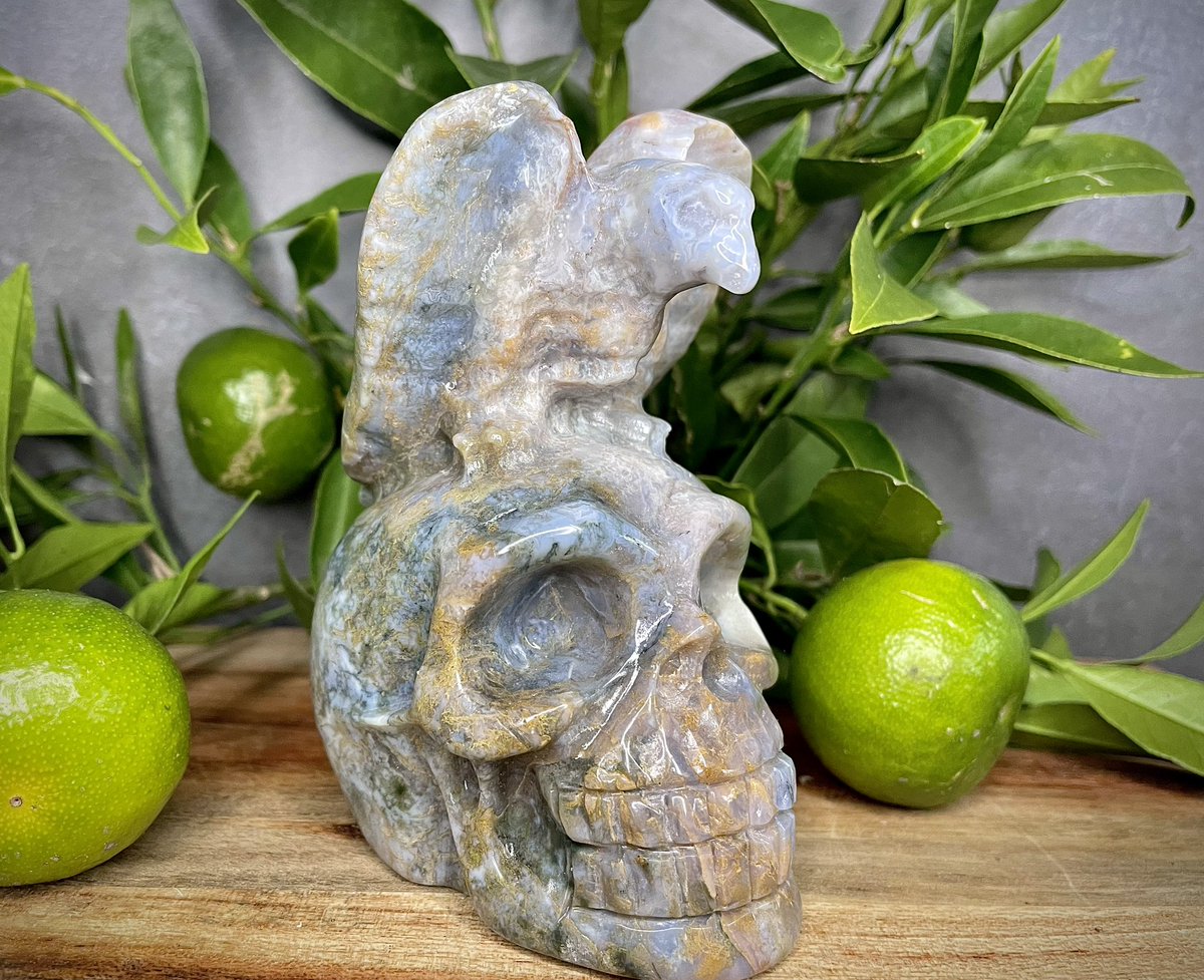 SuppliesWild's tweet photo. Check out this incredible Moss Agate human skull with a Raven perched on top! 🖤🦅#mossagate #humanskull #raven #crystalhealing #grounding #stabilizing #growth #prosperity #abundance #mystery #transformation #uniquepiece #conversationstarter #healingcrystals #energyhealing https://t.co/2epkz3CdOt