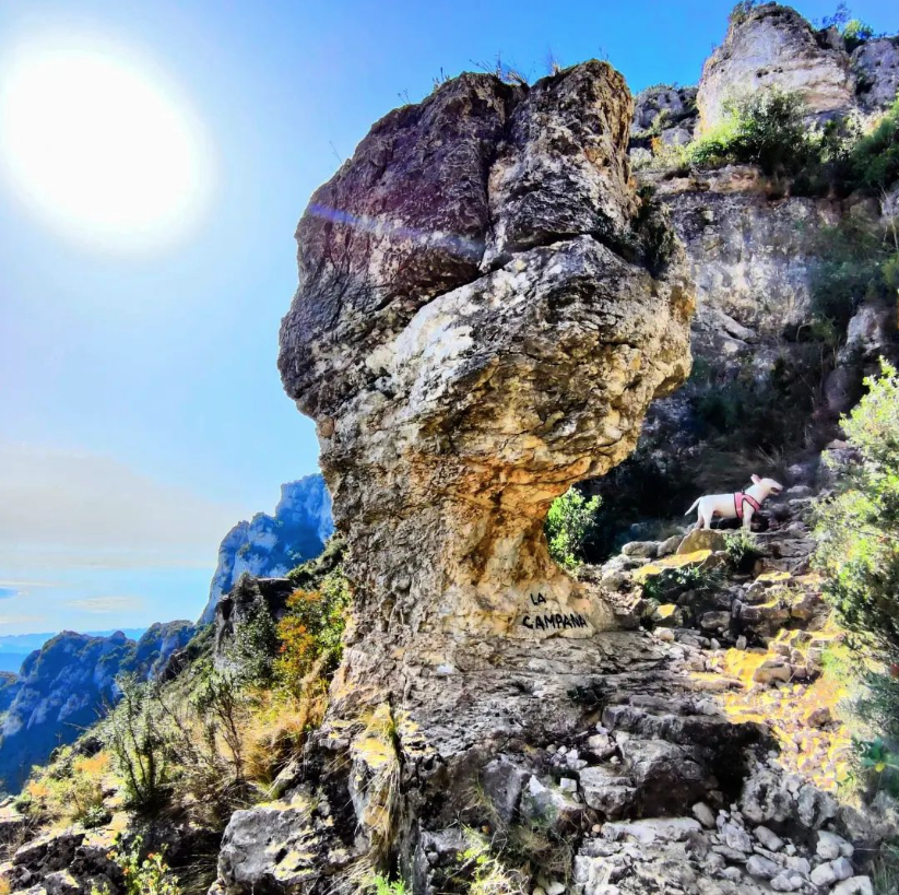 terresebretur's tweet photo. 🥾 Coneixeu la Campana? És un curiós bloc de roca que es troba de camí cap a la Foradada del Montsià. Les vistes són espectaculars!
📸 amics_de_vallgorguina, @TurismeLaRapita
#LaCampana #LaForadada #Montsià #TerresDelEbre #ReservadelaBiosfera https://t.co/13W9ggmq4f
