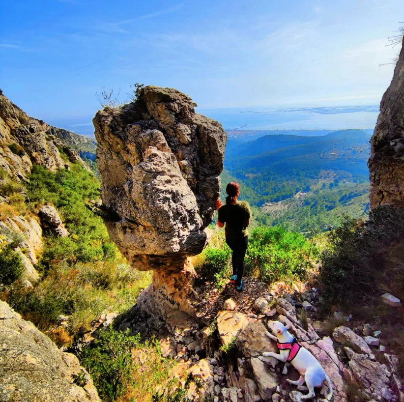 terresebretur's tweet photo. 🥾 Coneixeu la Campana? És un curiós bloc de roca que es troba de camí cap a la Foradada del Montsià. Les vistes són espectaculars!
📸 amics_de_vallgorguina, @TurismeLaRapita
#LaCampana #LaForadada #Montsià #TerresDelEbre #ReservadelaBiosfera https://t.co/13W9ggmq4f