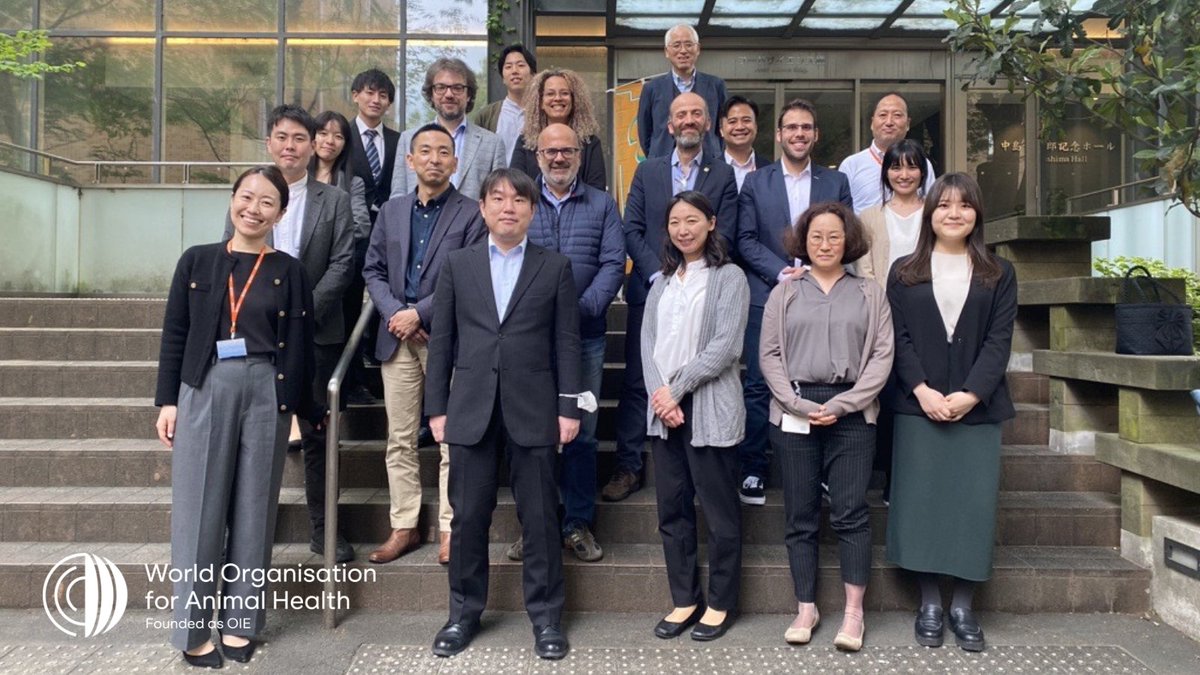 WOAH_Asia's tweet photo. #Zoning & #compartmentalisation prevent disease incursion & enable disease control. We met with @MAFF_JAPAN, @WOAH Collaborating Centres #IZSVe, the National Institute of Animal Health (NIAH) & partners to develop standards for these tools. 🌐🐂
➡️https://t.co/aSfbfX5QeA https://t.co/AvUDYrf0sO