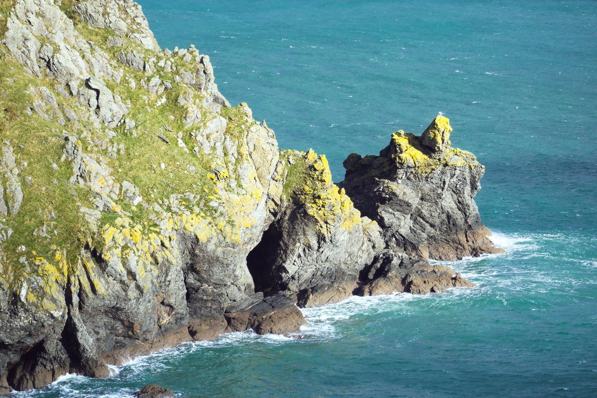martinhesp's tweet photo. Some great new walks on my website today https://t.co/M01i69J8QF #SouthHams #Devon #coastalwalk #BoltTail #SoarMillCove #NationalTrust #accessiblepath #CoastAndCountryCottages #freshseafood #SouthSandsFerry #outdooradventures #hiking #walkingtrail #seaside #travelDevon https://t.co/rTdl0p7uoL