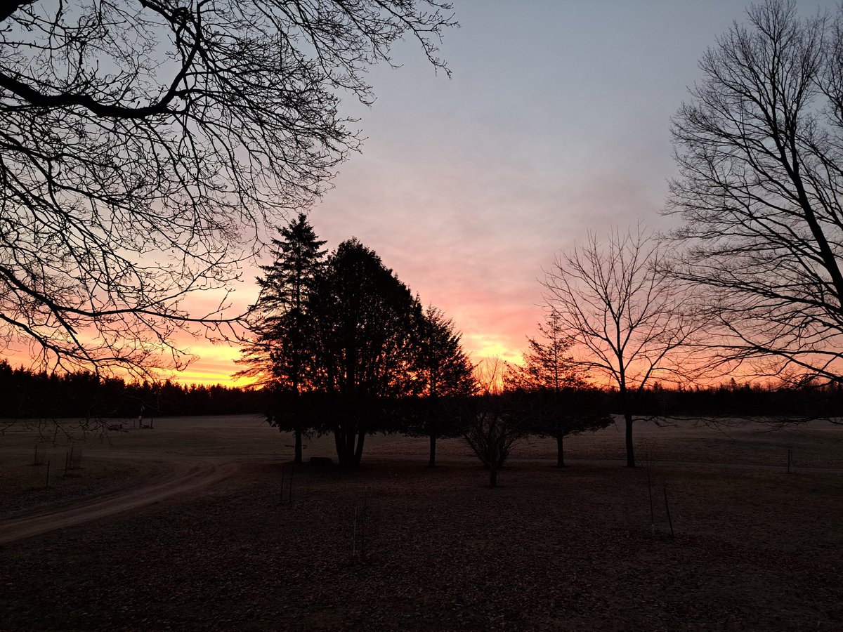 yooperforestry's tweet image. Good morning from @MSUAgBio forestry innovation center in Escanaba MI.