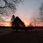 Photo by MSU FIC (@yooperforestry)