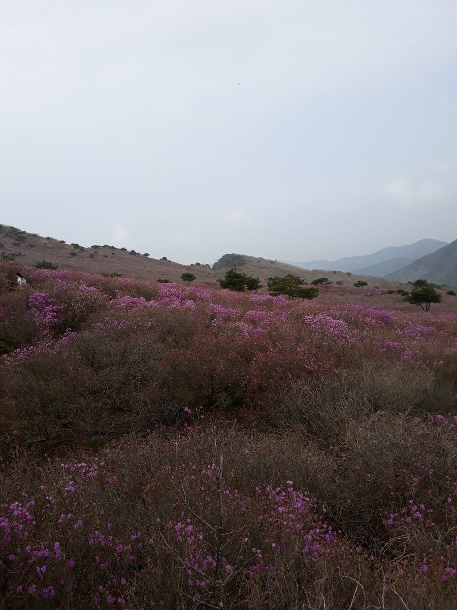 오늘
비슬산 다녀왔습니다 
경치가 너~무 좋았어요